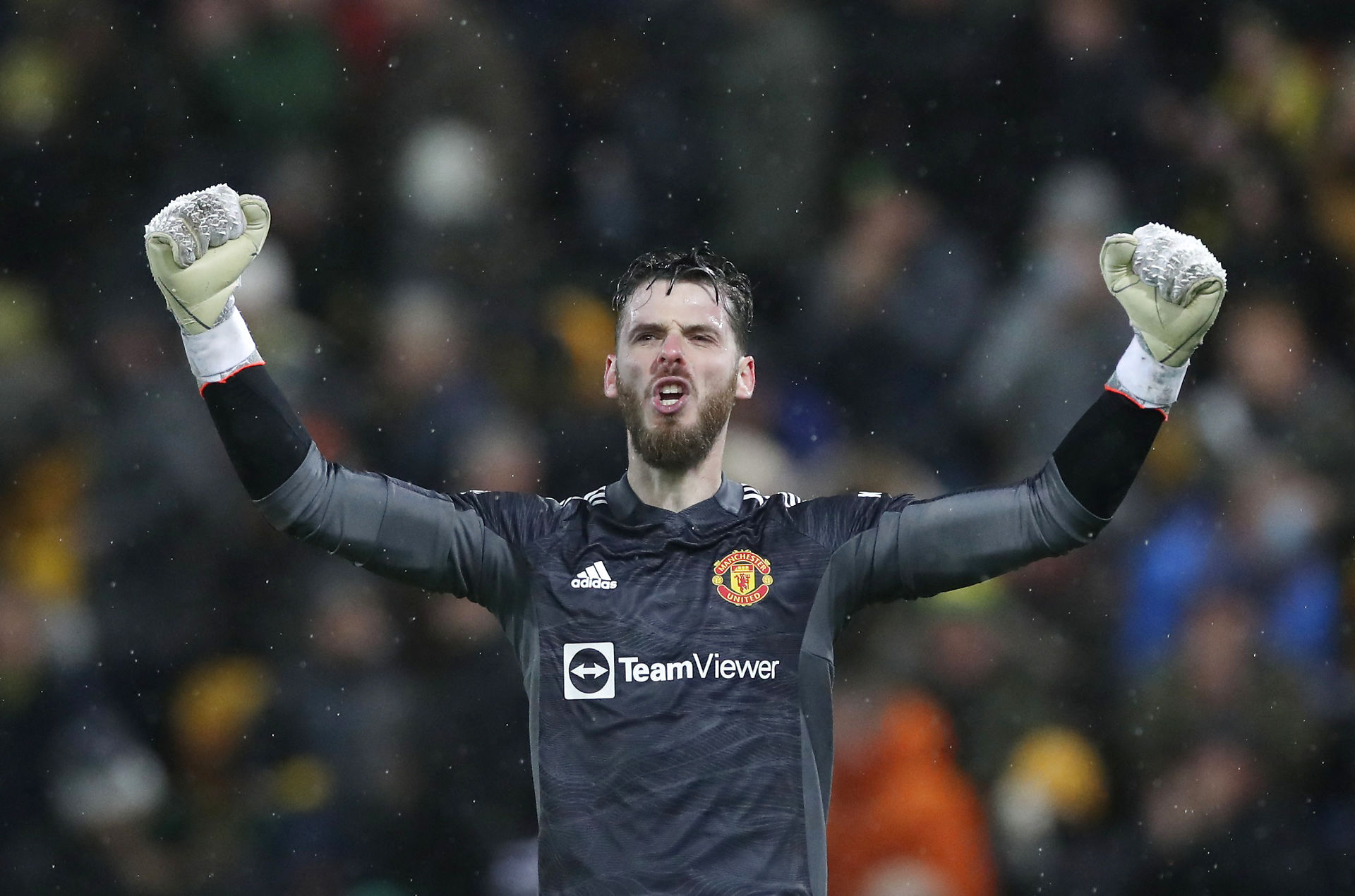 David de Gea er et monster på stregen: Clean sheets er stort for os David de Gea stod en brandkamp mod Norwich lørdag aften. Se spanierens fantastiske redninger i videoen. Foto: Ritzau Scanpix / Peter Cziborra 