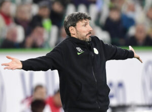 Mark van Bommel, Royal Antwerpen.