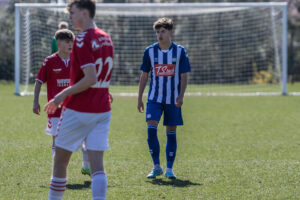 Damian van der Vaart er udtaget for Holland.