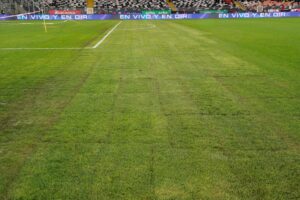 FK Usti nad Labemn har fået sig en ny spiller.