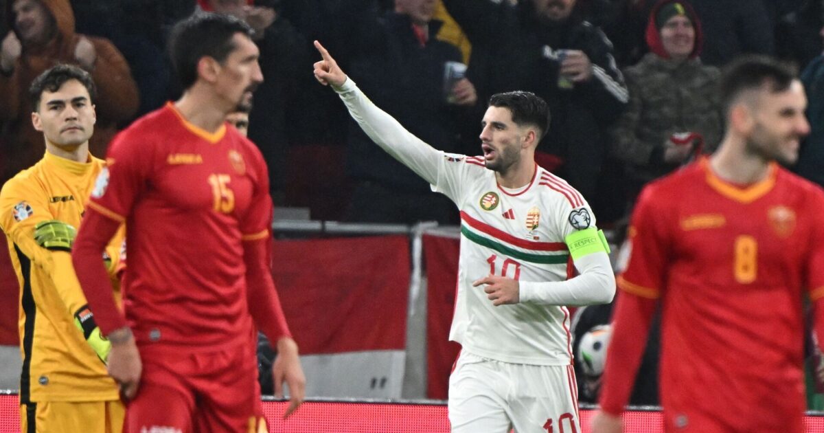 Irland redder point mod undertals-Ungarn i overtiden Foto: Ritzau