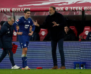 Hoffenheim smed to point mod Darmstadt.