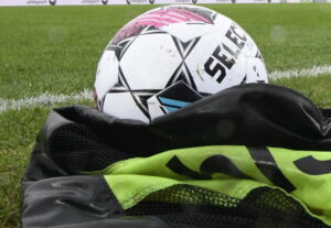 En bold på græsset