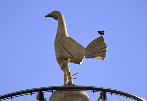 Et billede af Tottenham Hotspur Stadium forud for en kamp mellem Tottenham og Crystal Palace.