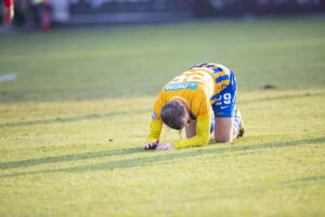 Skive-spiller i græsset.