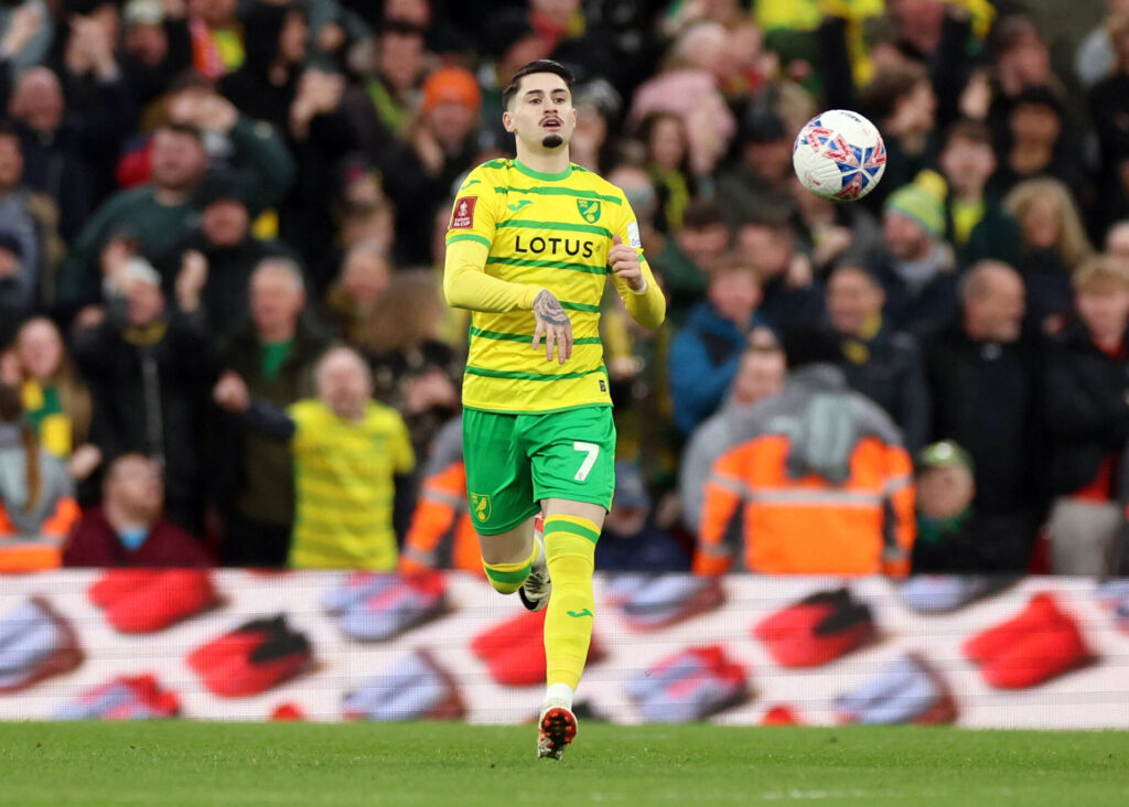 Norwich' spanske midtbanespiller Borja Sainz.