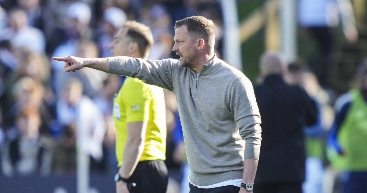 Neestrups masterplan lykkedes: Vidste, han bare skulle have en chance Foto: Claus Fisker/Ritzau Scanpix