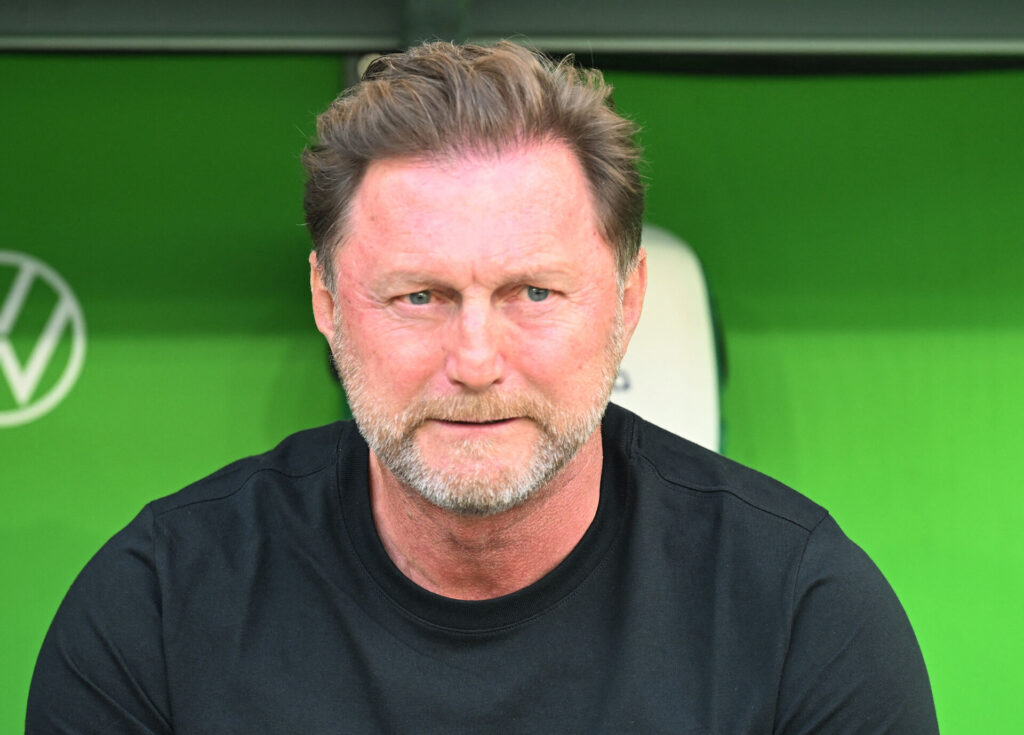 Wolfsburgs træner Hasenhüttl