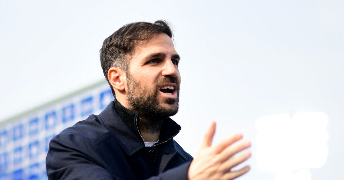 Uovervindelige Como: Bedre end Napoli efter endnu en sejr Foto: Daniele Mascolo/Reuters/Ritzau Scanpix