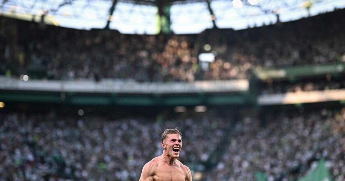 Ustyrlige Gyökeres om mesterskab: Vi skal fejre det sammen Foto: Patricia De Melo Moreira/AFP/Ritzau Scanpix