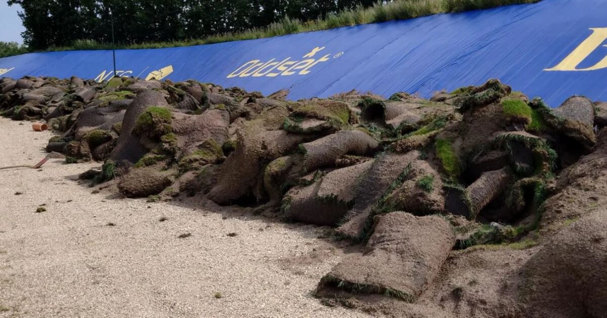 Bæredygtige Brøndby: Sender græstæppe til samarbejdspartner Foto: Brøndby IF