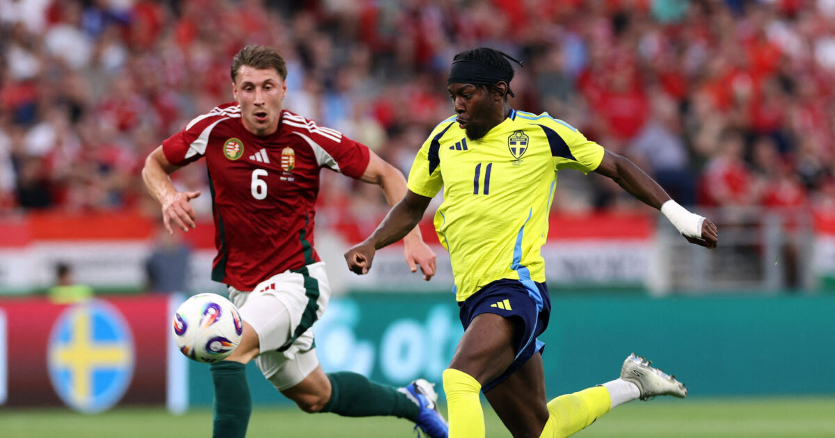 Officielt: Newcastle sprænger banken for endnu en svensker Foto: Bernadett Szabo/REUTERS