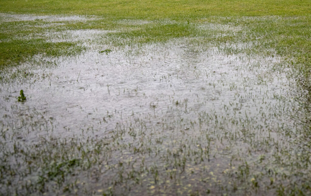 Regnvejr på Falster