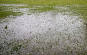 Regnvejr på Falster