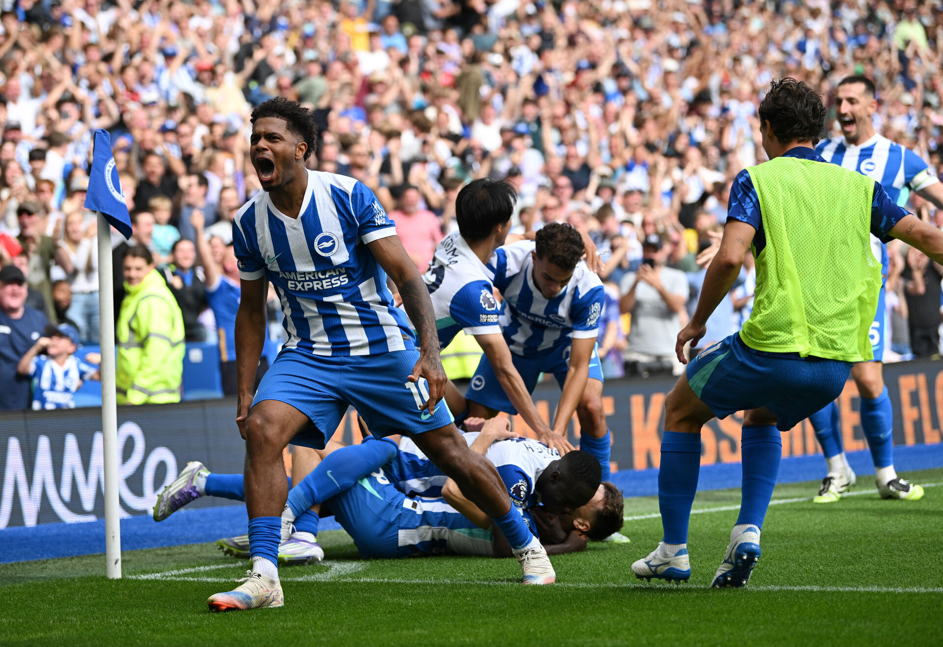 Brajan Gruda fejrer et mål for Brighton.