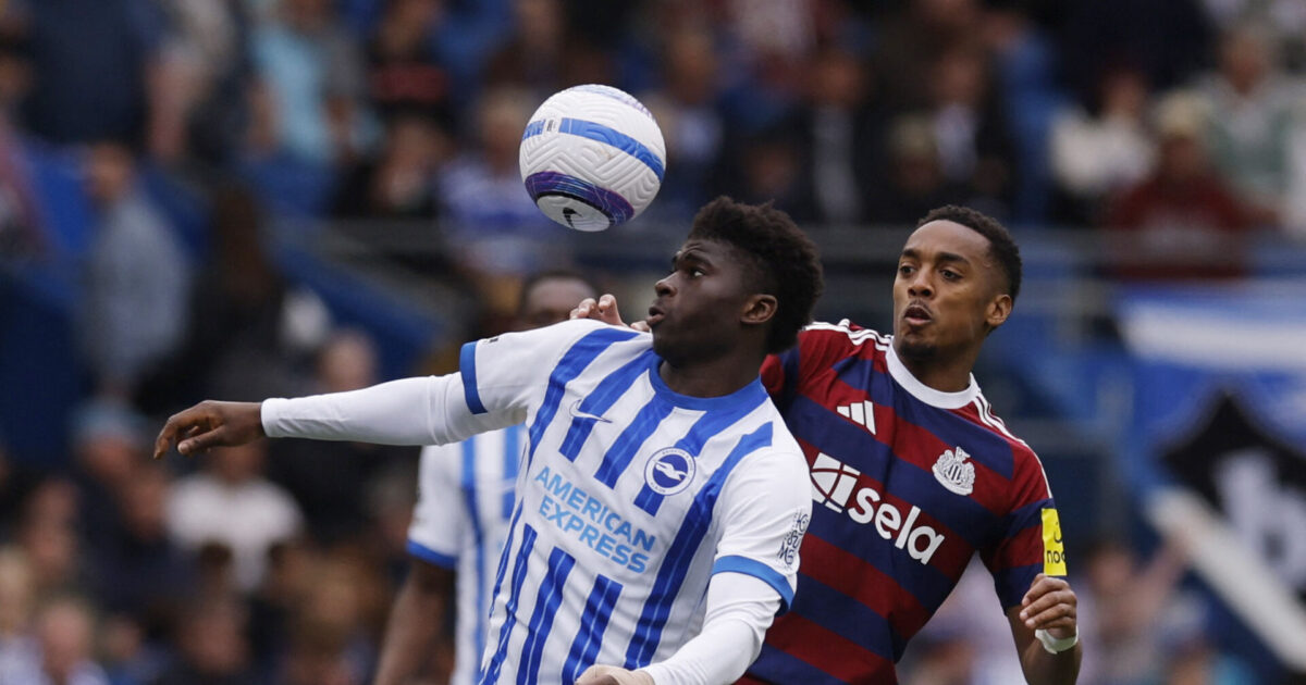 Medie: United har forhørt sig om svinedyr Brighton-profil Foto: Ritzau Scanpix/REUTERS