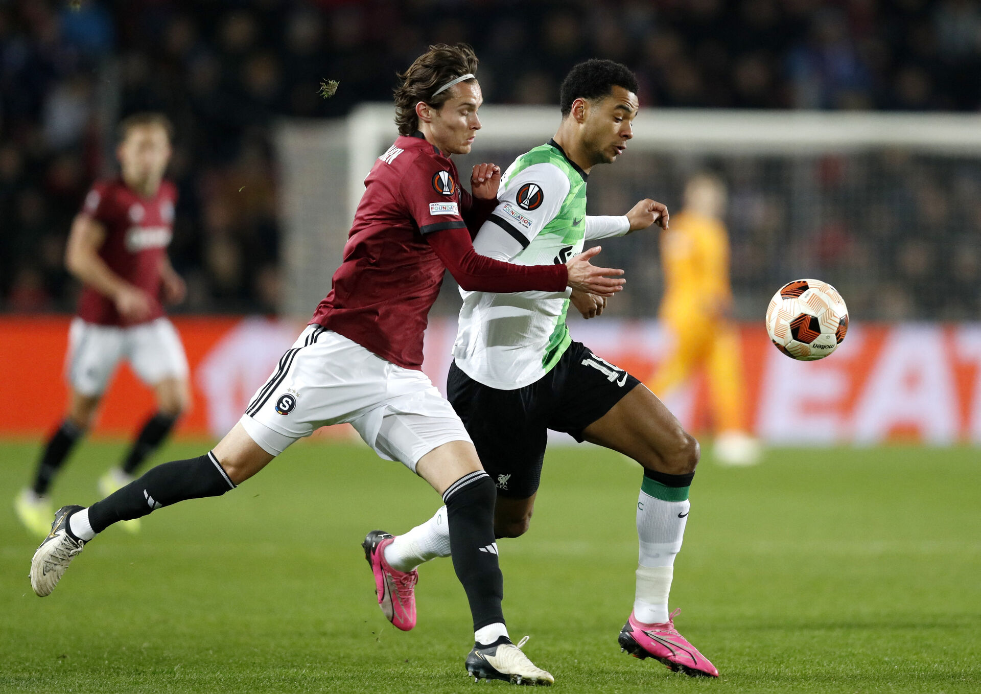 Markus Solbakken tackler Cody Gakpo.