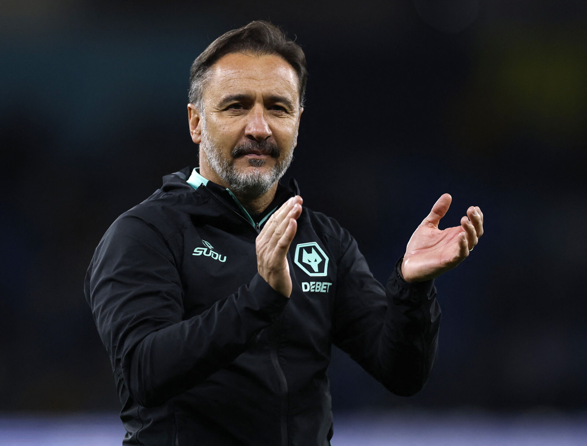 Vítor Pereira, Wolverhampton