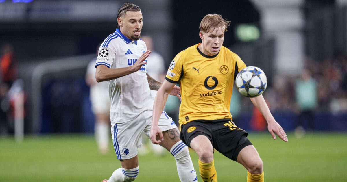 Dortmund-svensker afviser: Det var ikke nemt i Parken Foto: Liselotte Sabroe/Ritzau Scanpix