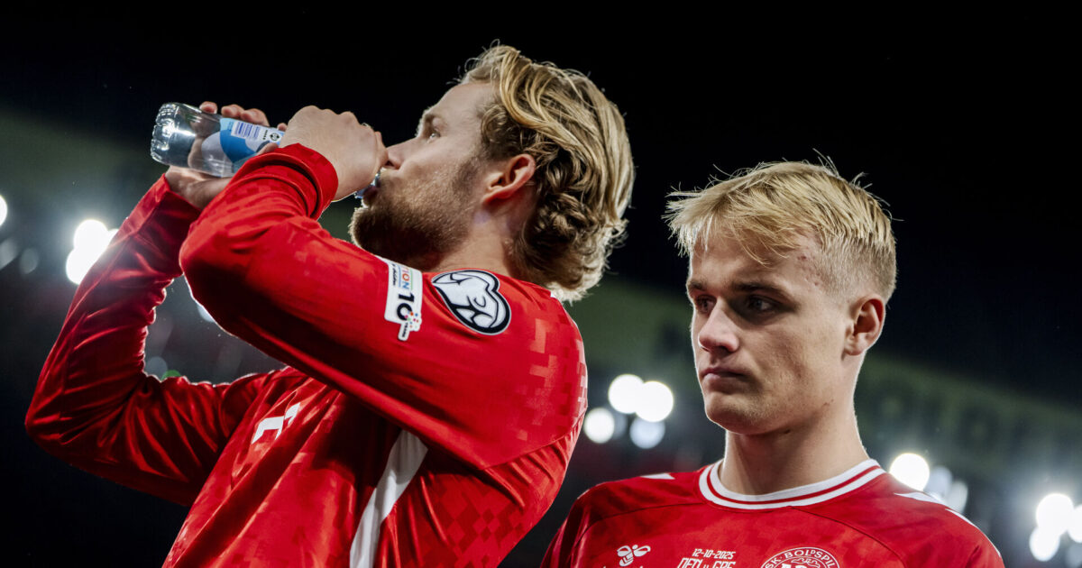 Landsholdets Duracell-kanin: Findes ingen bedre i Europa Foto: Mads Claus Rasmussen/Ritzau Scanpix