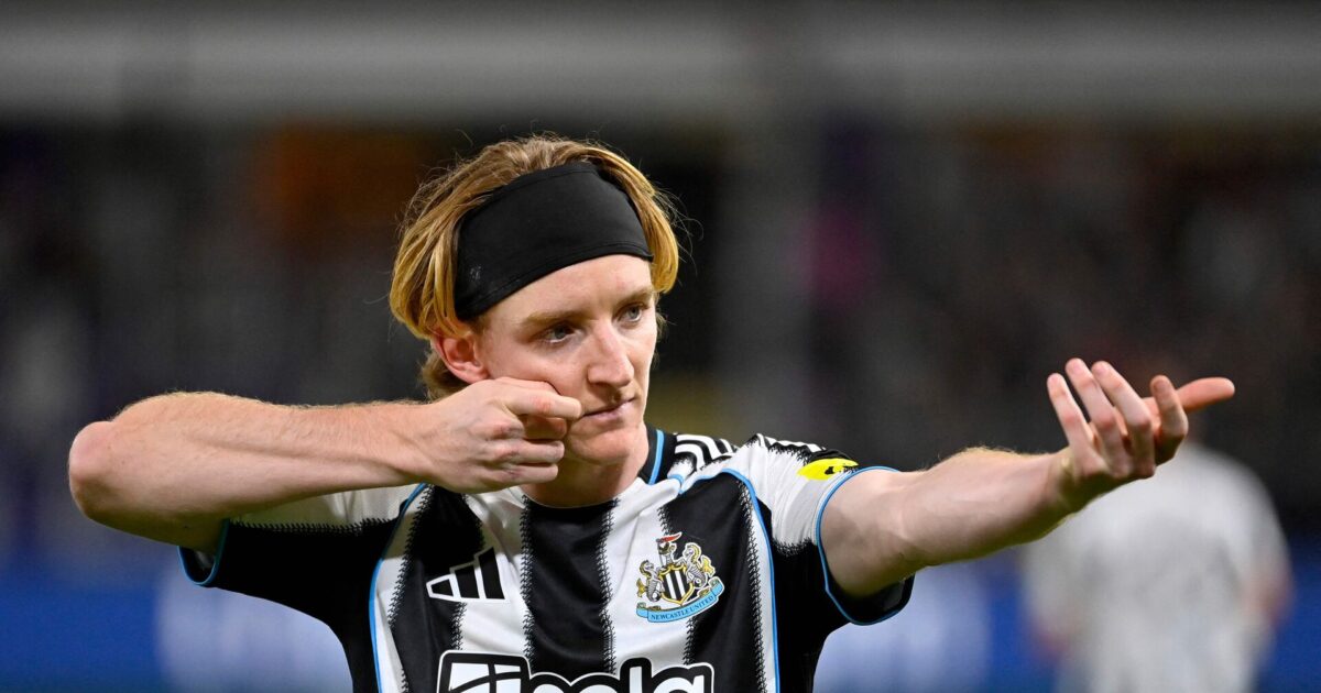 – Newcastle kan være lige det vi vil i denne sæson Foto: John Thys/AFP/Ritzau Scanpix