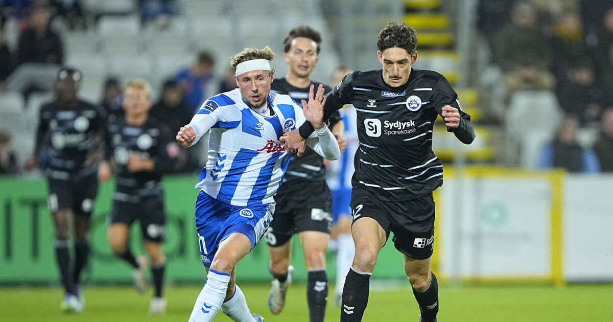 ‘Dyrskue’ i Odense: Bjørn og Hoppe sørger for remis Foto: Bo Amstrup/Ritzau Scanpix