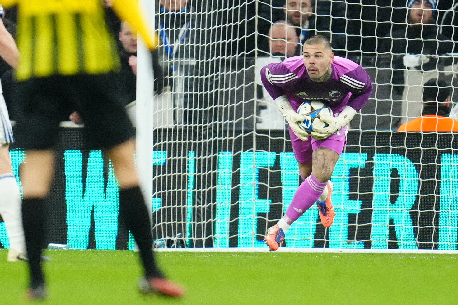 Det er simpelthen for dårligt, Kotarski! foto