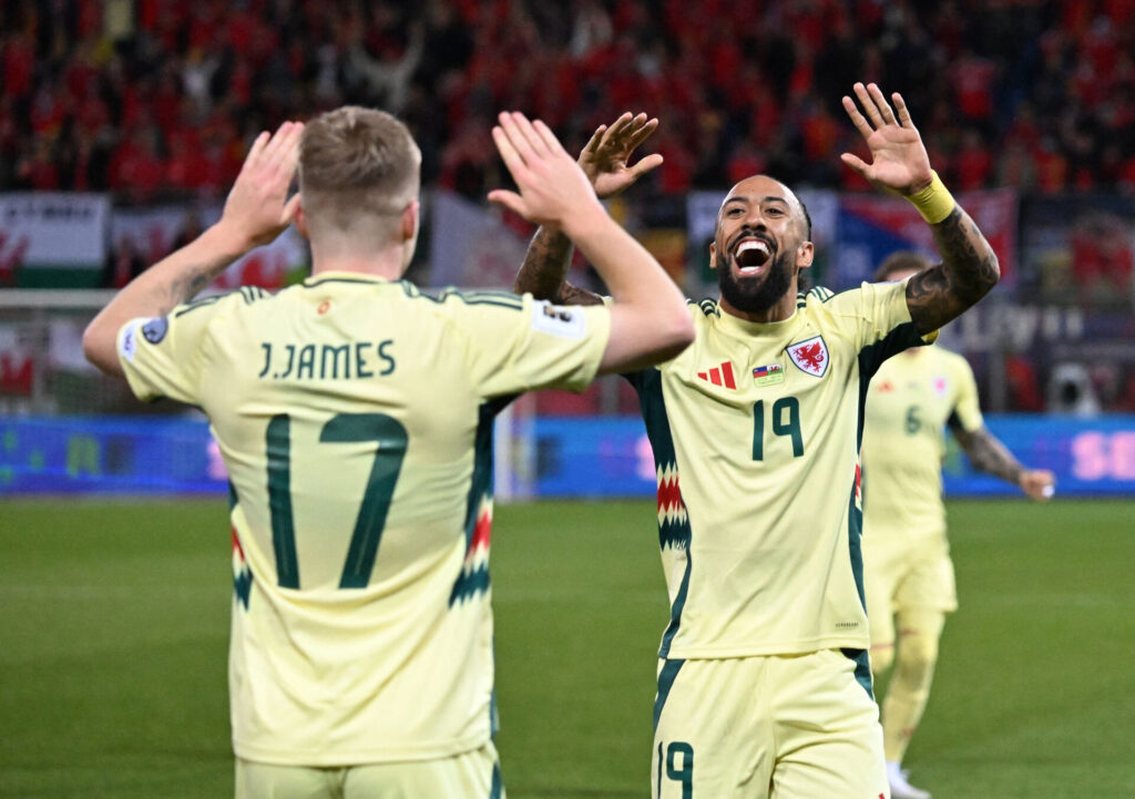 Wales' spillere jubler.