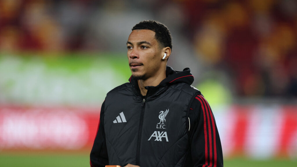 Overblik: De største transfers i Premier League