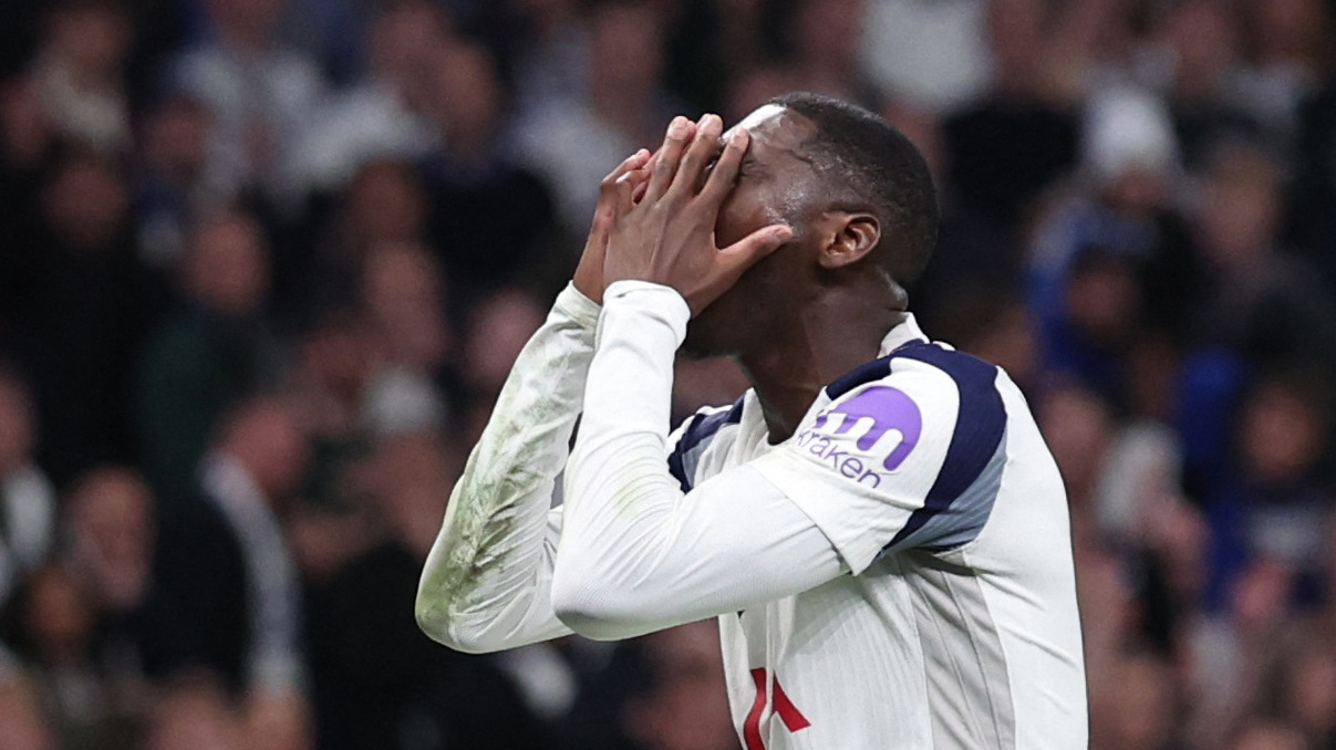 Tottenham-franskmand glider ud ad landsholdstrup foto