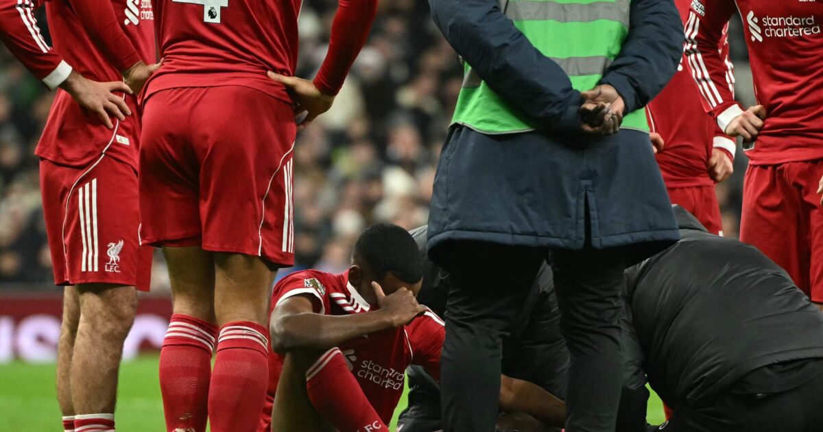 Medie: Alexander Isak kan have brækket benet Foto: Photo by JUSTIN TALLIS 