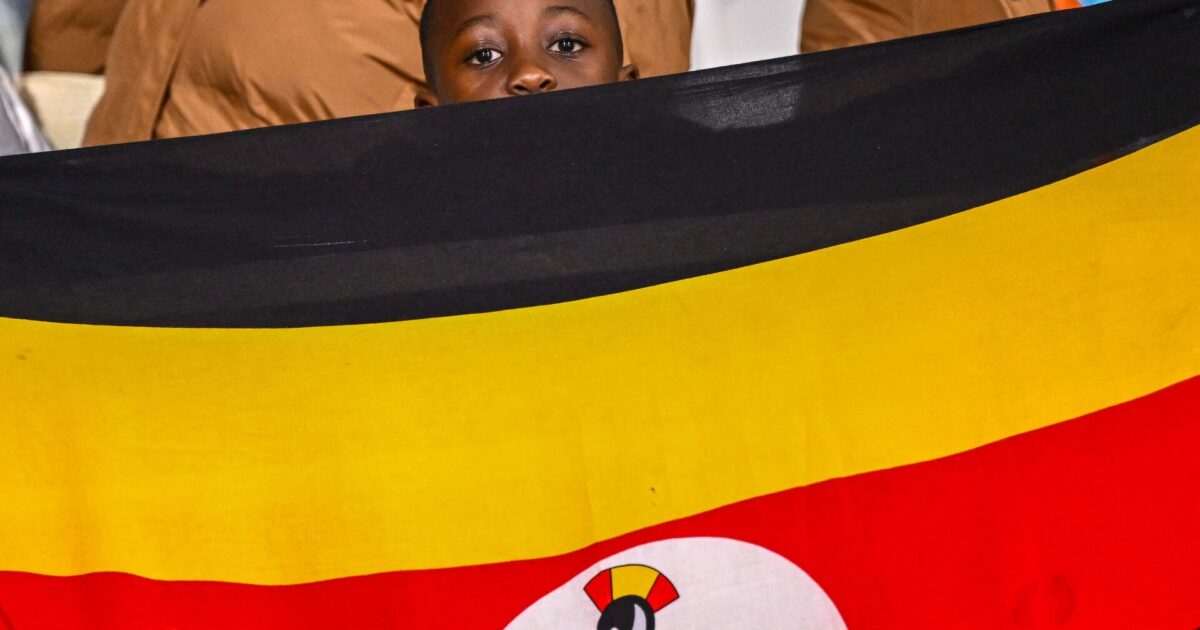 AGF-stjerneskud på bænken i AFCON-brag Foto: Sebastien Bozon/AFP/Ritzau Scanpix