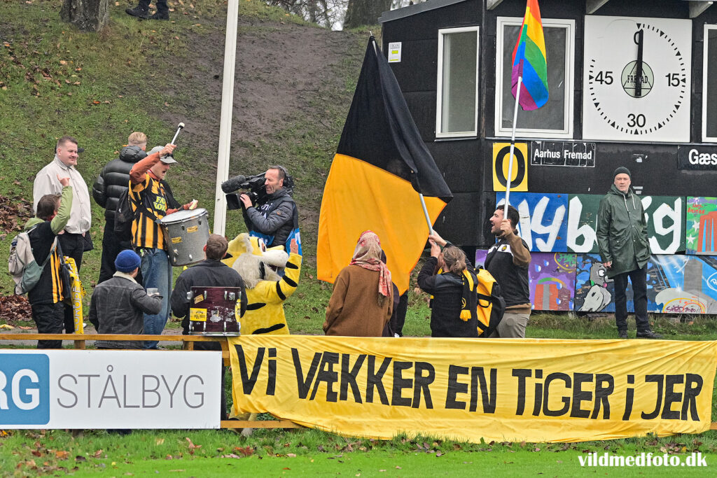 Et billede af Aarhus Fremad-fans