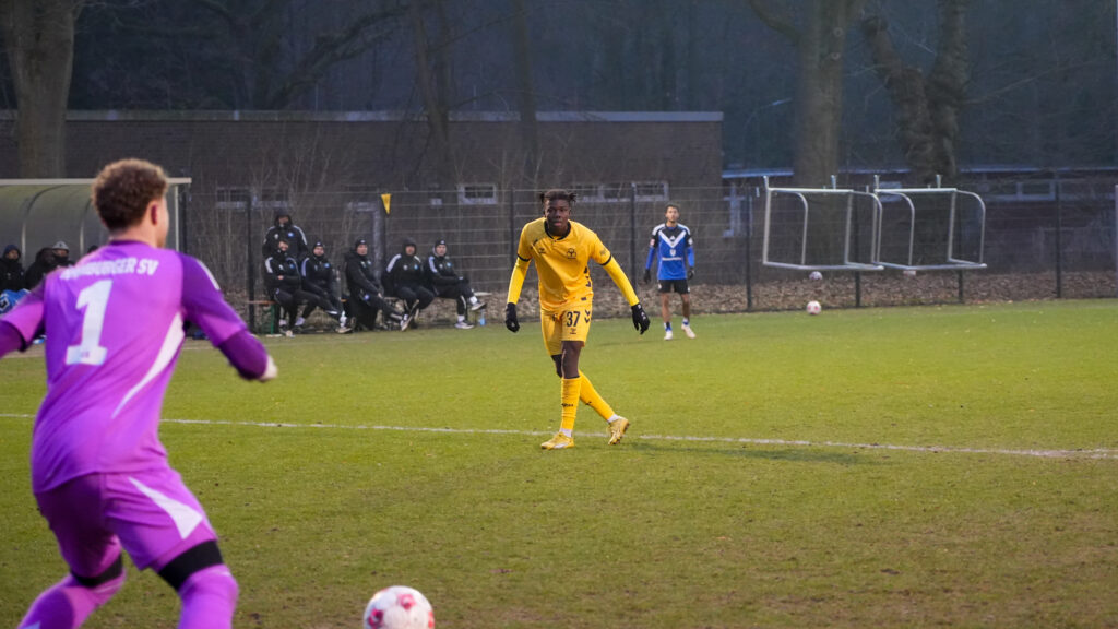 Gouba i aktion for Horsens