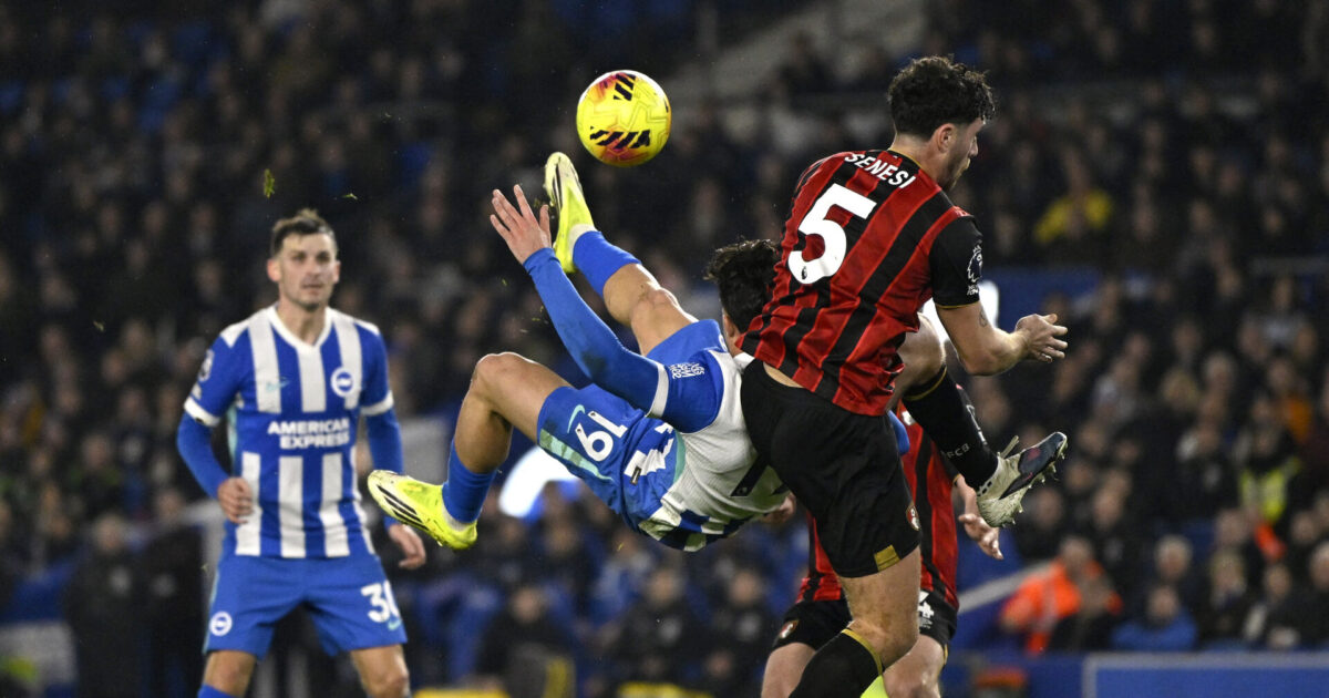 18-årig sikrer Brighton ét point med sent saksespark Foto: Ritzau Scanpix/REUTERS