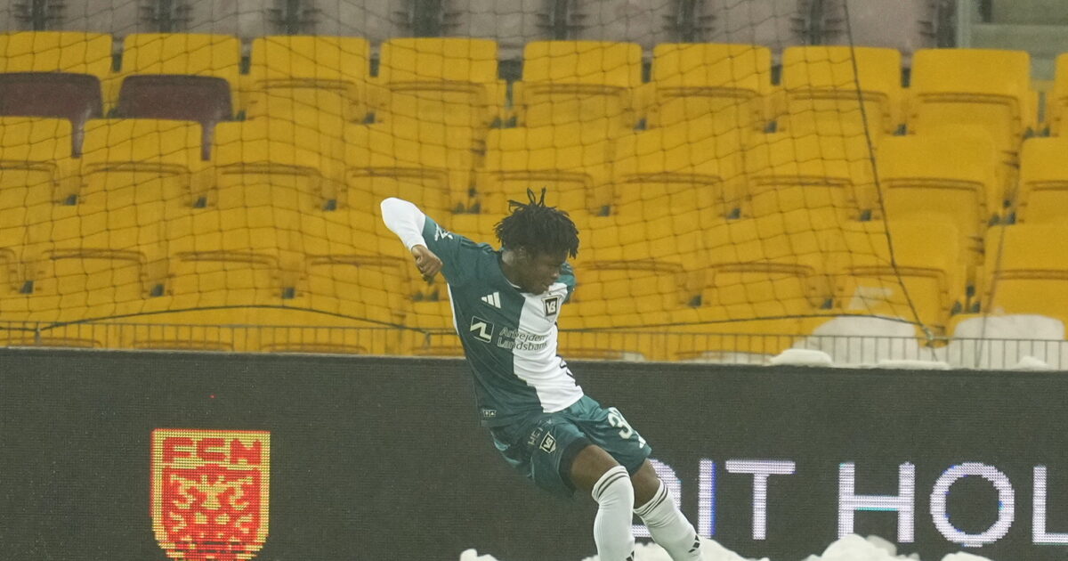 Vejles vilde helt: Er det starten på ‘the great escape’? Foto: Claus Bech/Ritzau Scanpix