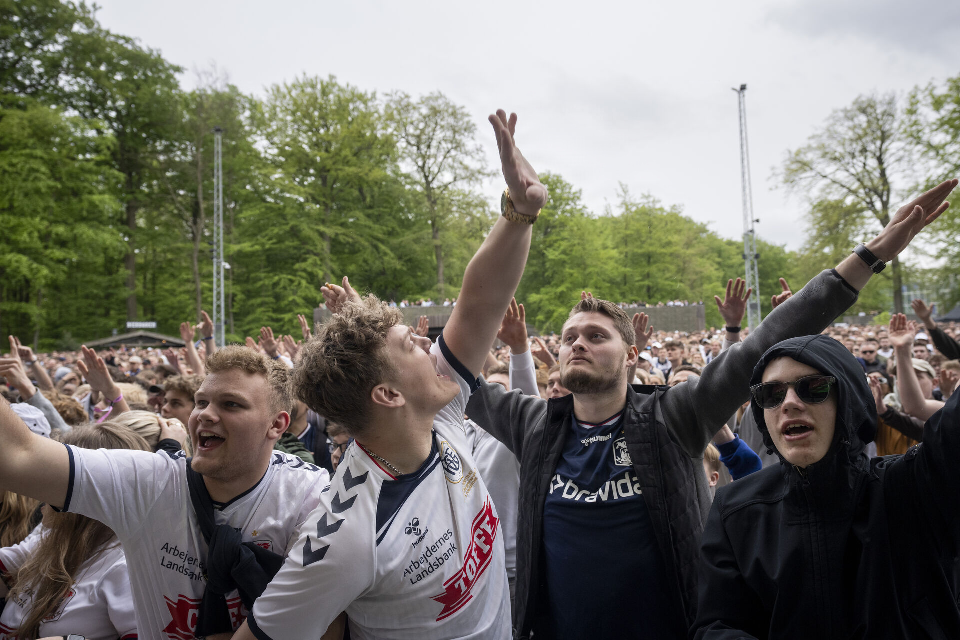 campo.dk