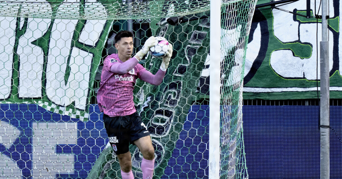 Var angrebet af larver: Græsset i Viborg kan udfordre AGF Foto: Henning Bagger/Ritzau Scanpix