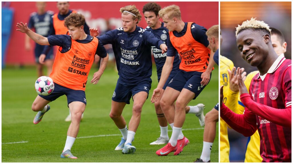 Franculino Kvistgaarden Froholdt