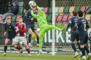 Paul Izzo griber bolden