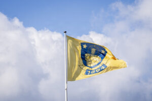 Brøndby IF