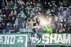 Viborg FF fans.