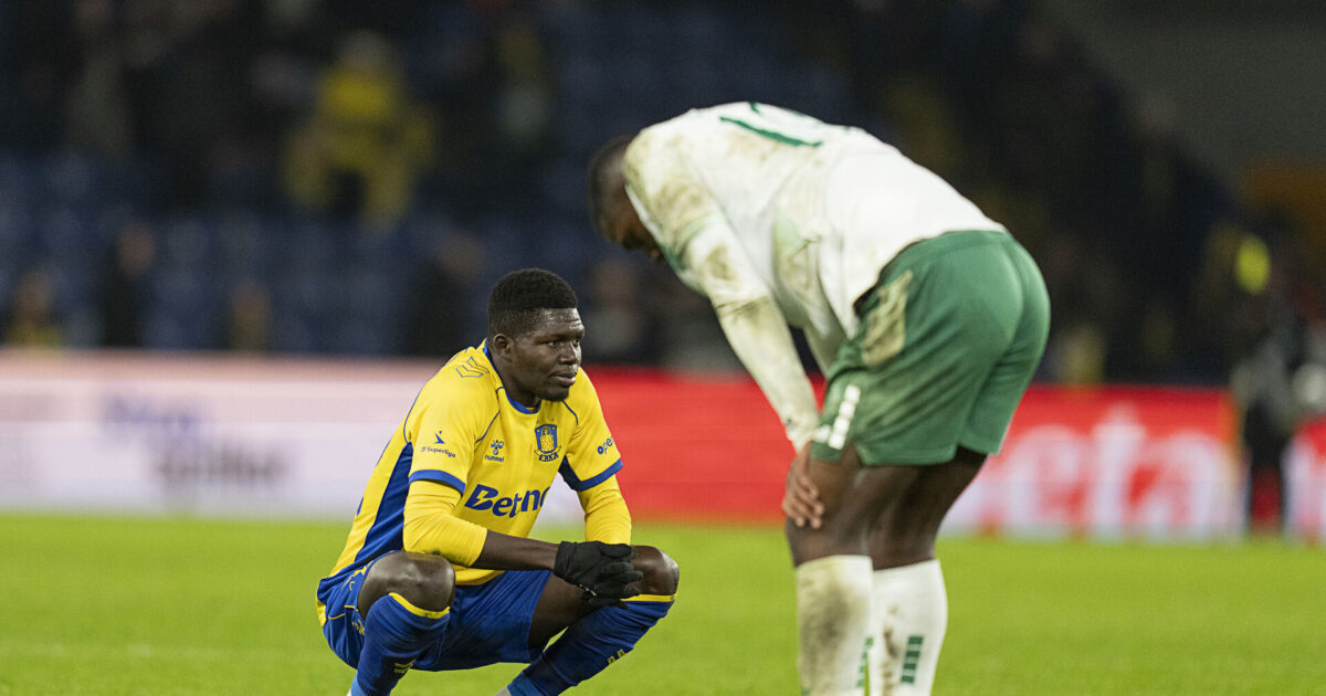 Medie: Her er prisen på Sow Foto: Claus Bech/Ritzau Scanpix