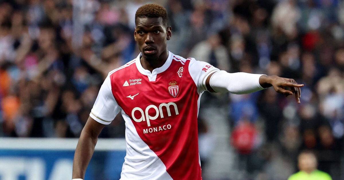 Gratis Pogba: Kontrakten er revet itu Foto: Franck Fife/AFP/Ritzau Scanpix