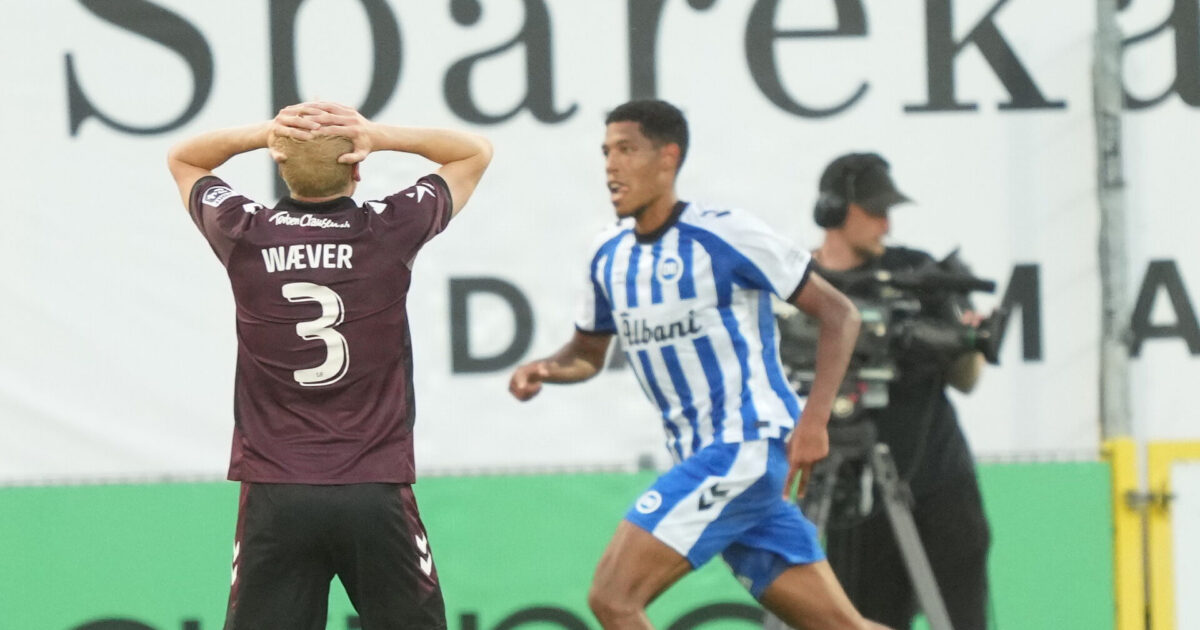 Puha.. lad os ikke få for mange af dem Foto: Claus Fisker/Ritzau Scanpix