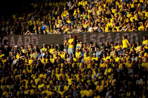Brøndby IF's fans.