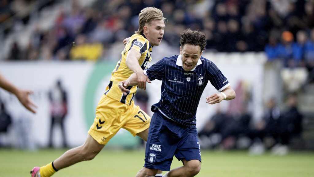 Mikael Anderson