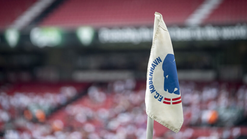 Hjørneflag i Parken