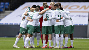 Viborg FF